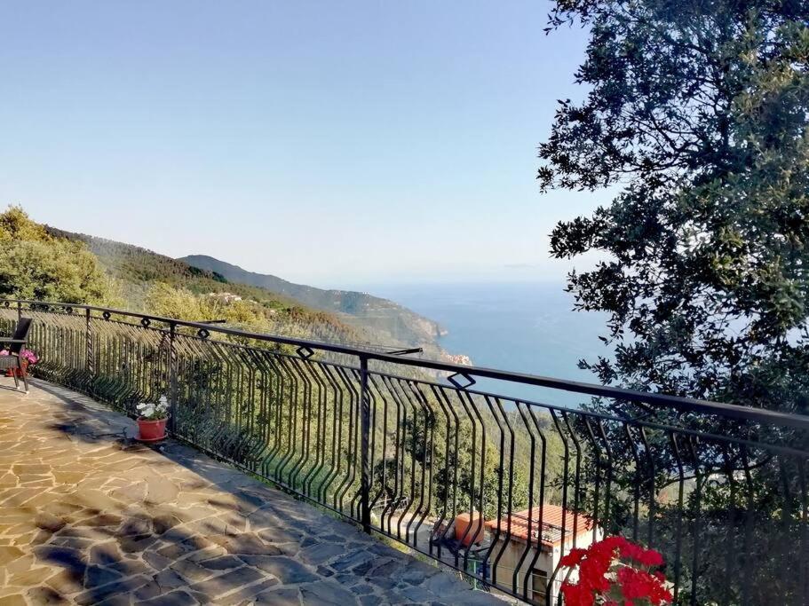 קורניליה Nature&Sea Chalet מראה חיצוני תמונה